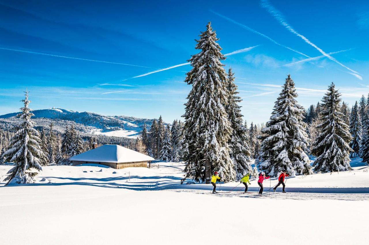 Babaute 7, Studio Typique Au Pied Des Pistes Prémanon 외부 사진