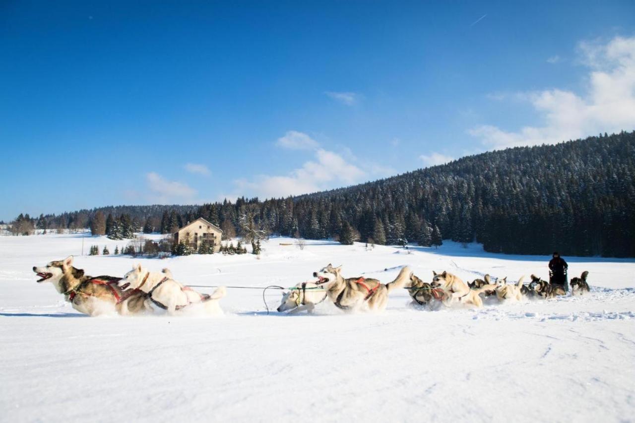 Babaute 7, Studio Typique Au Pied Des Pistes Prémanon 외부 사진
